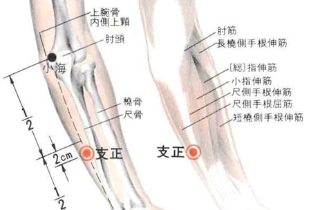 支正穴→治頭痛、目眩