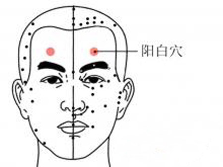 陽(yáng)白穴→洽頭痛、目眩