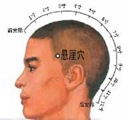 懸厘穴→治偏頭痛、面腫