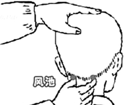 風(fēng)池穴→治頭痛、眩暈