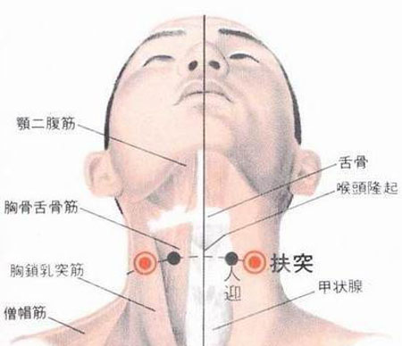 扶突穴→治干咳、氣喘