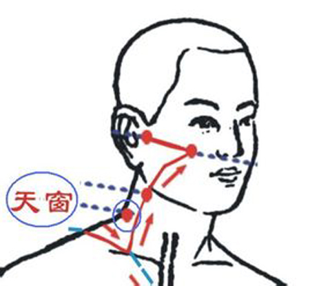 天窗穴→治耳鳴、耳聾