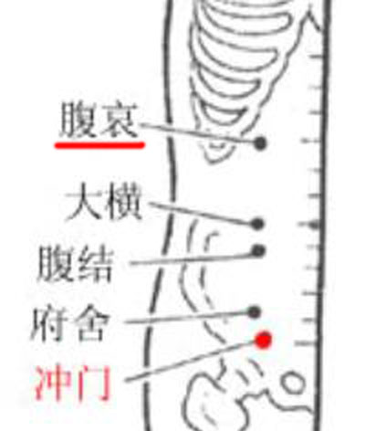 腹哀穴→治腹痛、便秘
