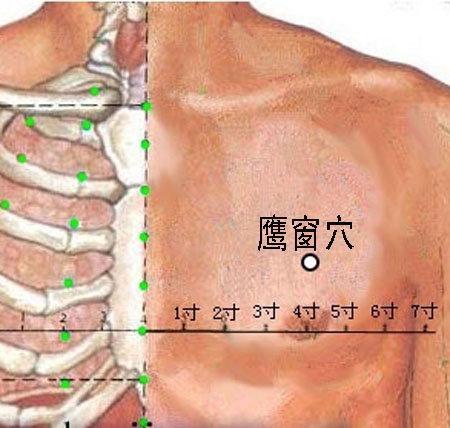 鷹窗穴→治咳嗽、氣喘