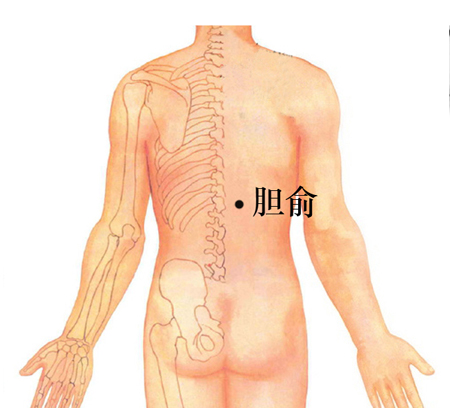 膽俞穴→治黃疸、口苦