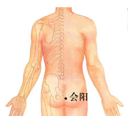 會陽穴→治泄瀉、便血