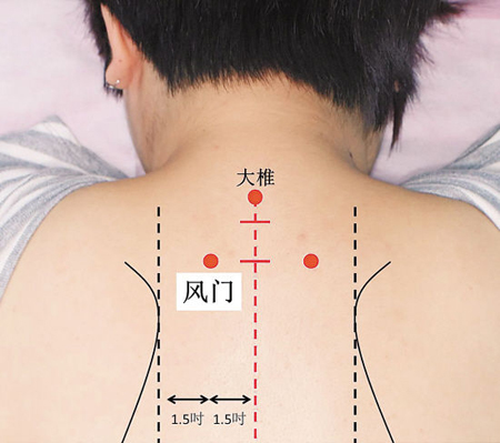風(fēng)門穴→治傷風(fēng)、咳嗽