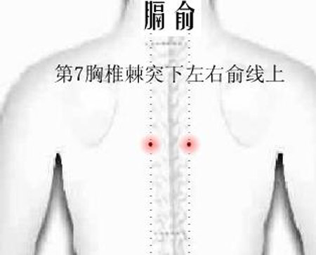 膈俞穴→治嘔吐、呃逆