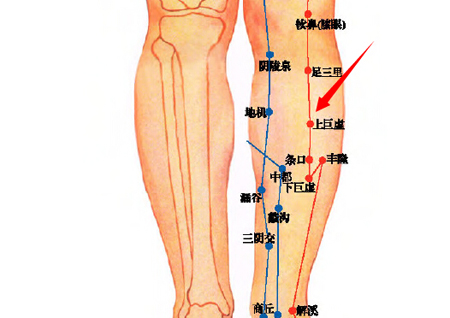 上巨虛穴→治腸鳴、腹痛