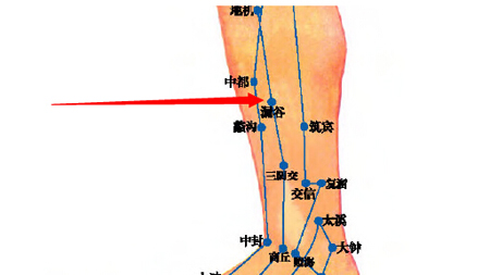 漏谷穴→治腹脹、腸鳴