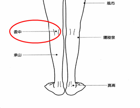 委中穴→治腰痛、腹痛。