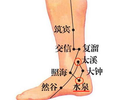 水泉穴→治小便不利、腹痛