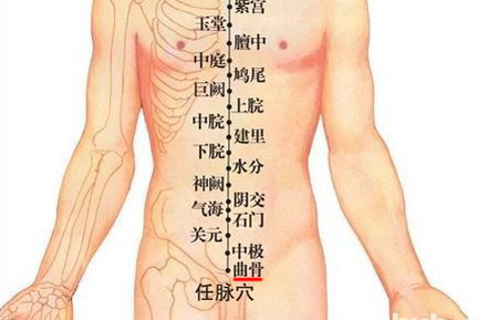 曲骨穴：益氣血，調(diào)治月經(jīng)不調(diào)、帶下