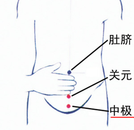 中極穴：補(bǔ)腎培元，調(diào)治陰挺、不孕