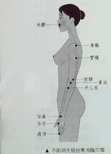 敲敲打打大腸經(jīng)、胃經(jīng)，女人的“不老秘方”