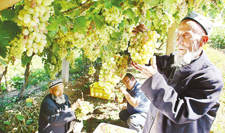 新疆衛(wèi)生計(jì)生先進(jìn)交流會舉行