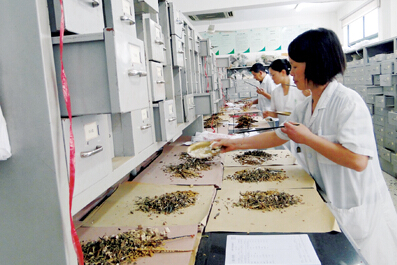以“一帶一路”為契機，推動中醫(yī)藥走向世界
