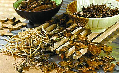 王國強發(fā)言：推進中醫(yī)藥創(chuàng)新提升科技競爭力