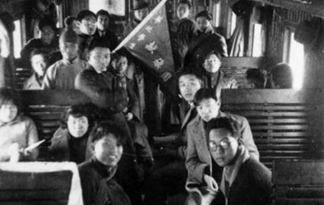 醫(yī)藥救亡請愿團(tuán)