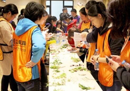 湖南中醫(yī)藥大學第一附屬醫(yī)院組織全體職工開展戶外采藥、辨藥活動