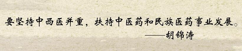 要堅(jiān)持中西醫(yī)并重，扶持中醫(yī)藥和民族醫(yī)藥事業(yè)發(fā)展?！\濤
