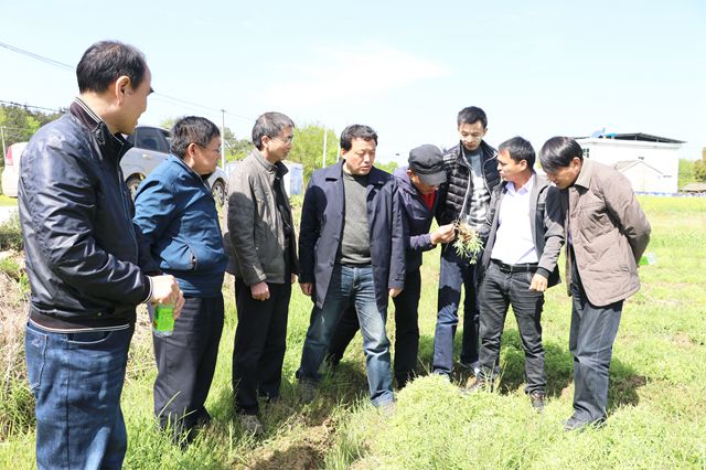 安徽中醫(yī)藥大學的專家赴潛山縣調(diào)研
