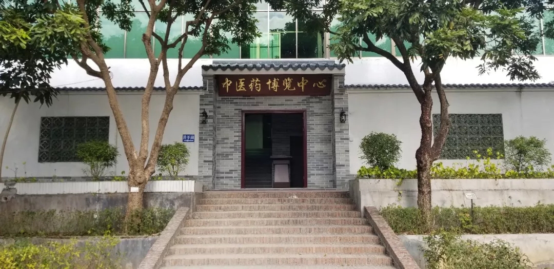 【科技開放日】嶺南中醫(yī)藥文化博覽園科普基地歡迎您！