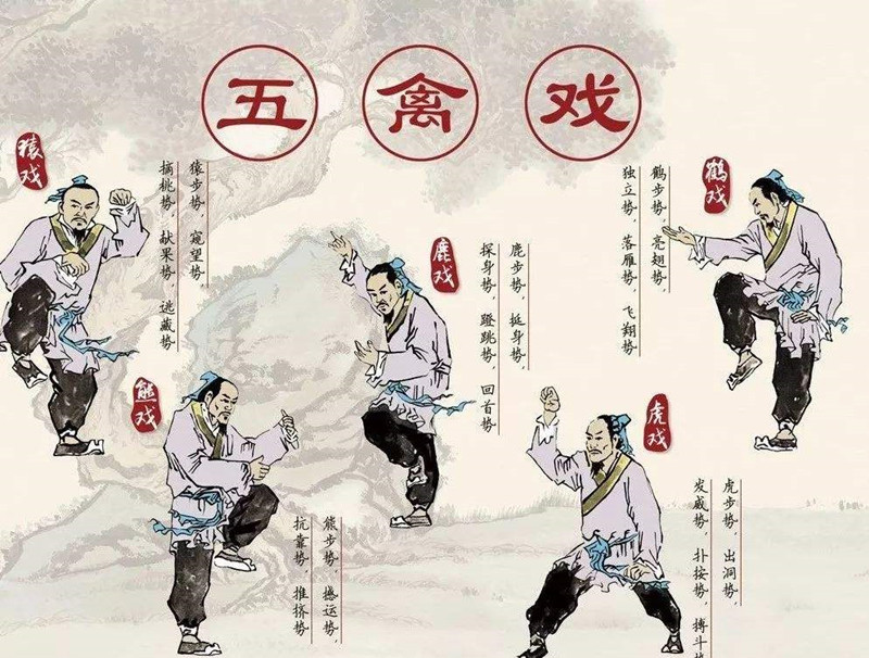 華佗，外科鼻祖，發(fā)明麻沸散、五禽戲