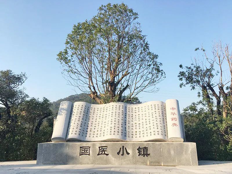 【防疫先鋒科學(xué)營】爭當抗疫小先鋒，探尋神奇中醫(yī)藥