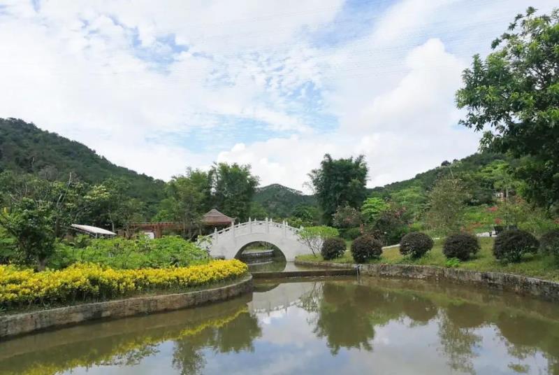 “重陽登高識百草，遍插茱萸承孝道”國醫(yī)小鎮(zhèn)重陽節(jié)主題活動招募來啦！