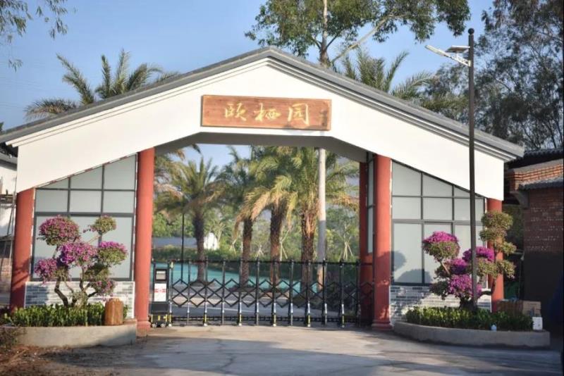 【國醫(yī)小鎮(zhèn) 特大喜訊】中醫(yī)藥健康特色民宿“頤棲園”正式開業(yè)！