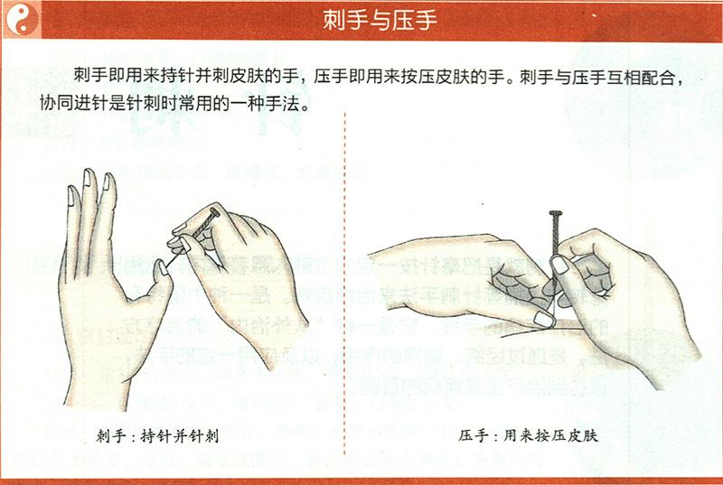 一般針法的運用原則是什么？