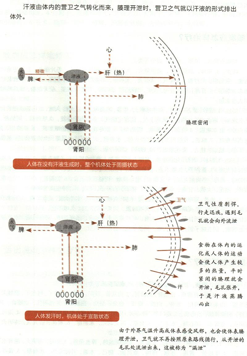 諸汗應(yīng)怎樣治療？