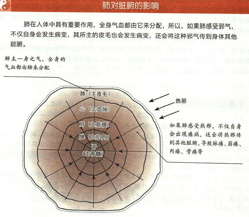陰痿應(yīng)怎樣治療？
