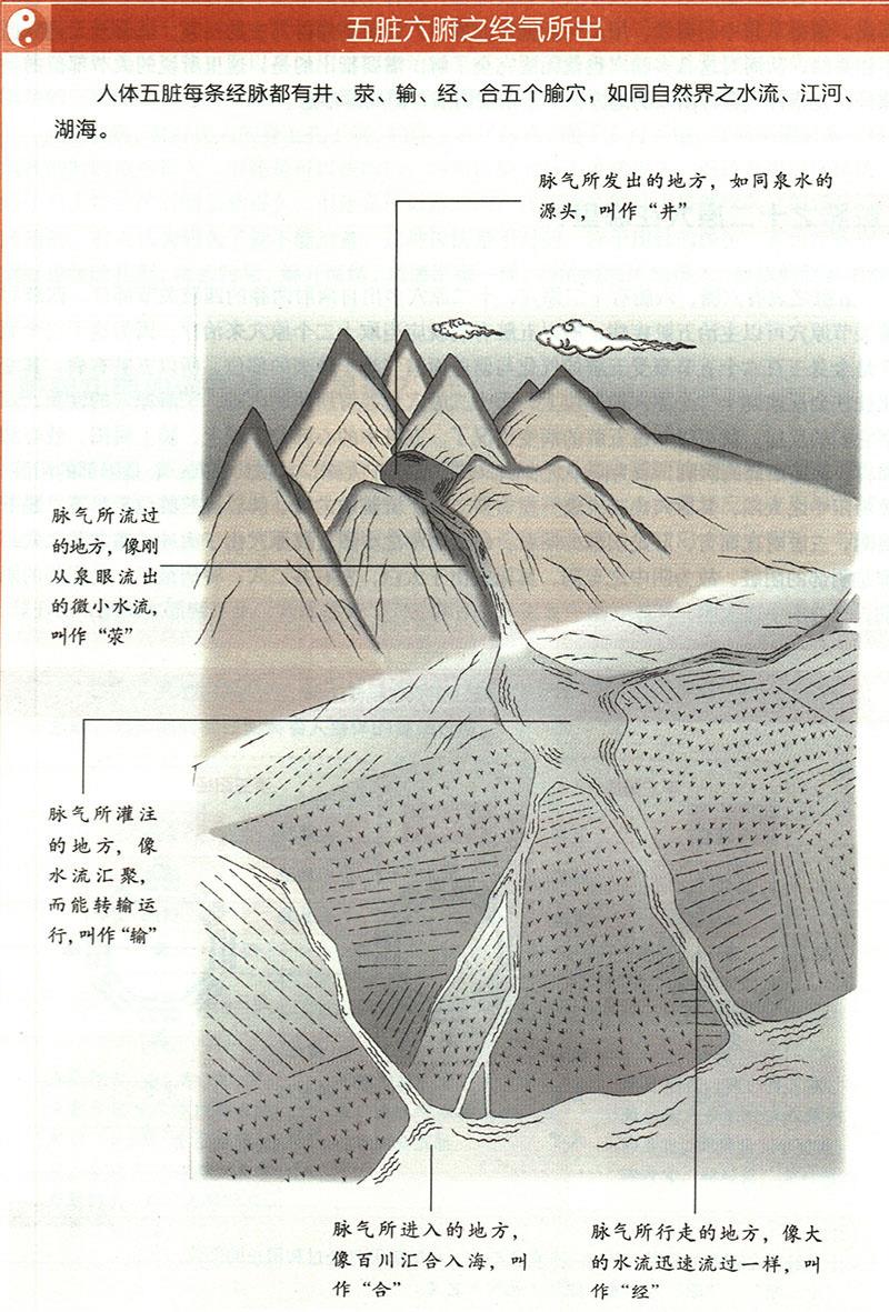 臟腑之經(jīng)氣所出分別在哪里？