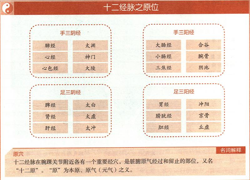 臟腑之十二原穴在哪里？