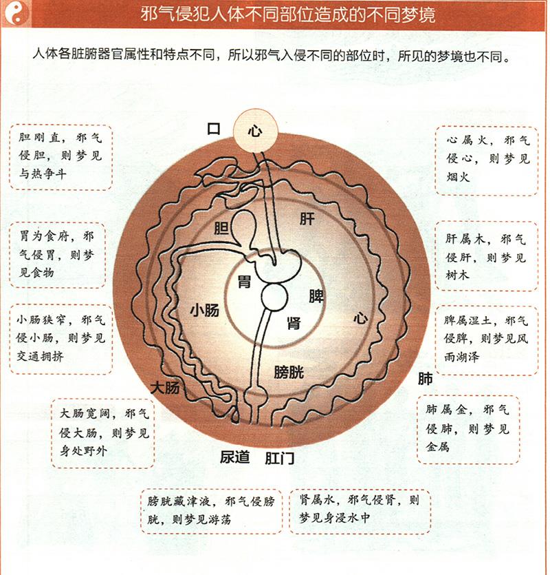 如何從夢境推算健康？