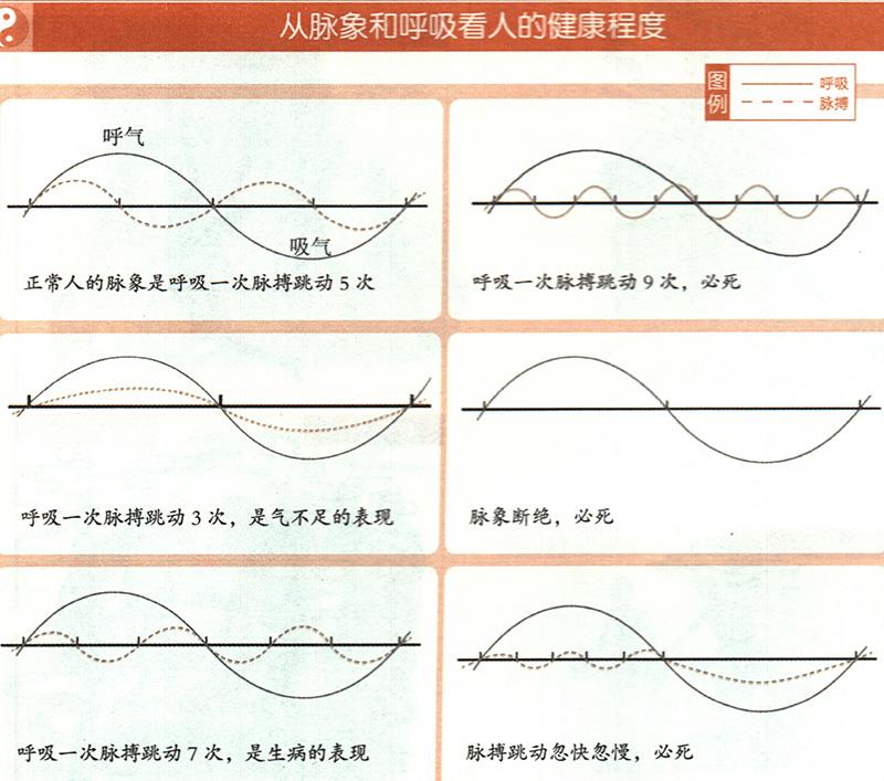 如何從脈象和呼吸推算健康？