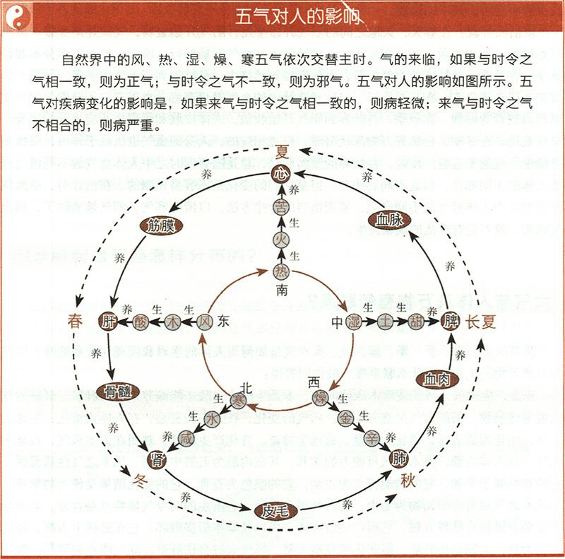 六氣與人體及萬物有何聯(lián)系？