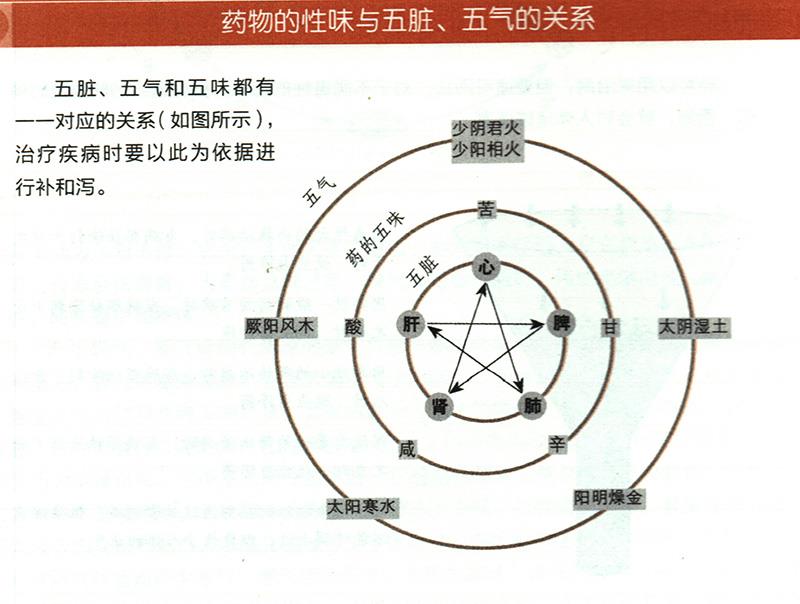 藥物的性味與五臟、五氣有什么關(guān)系？
