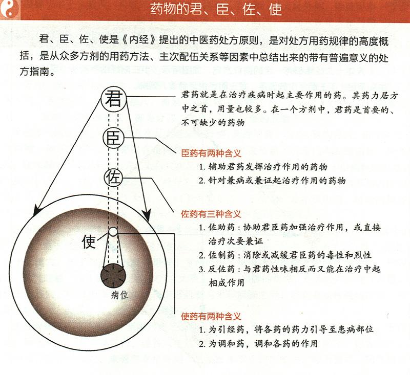 什么是藥物的君臣佐使？