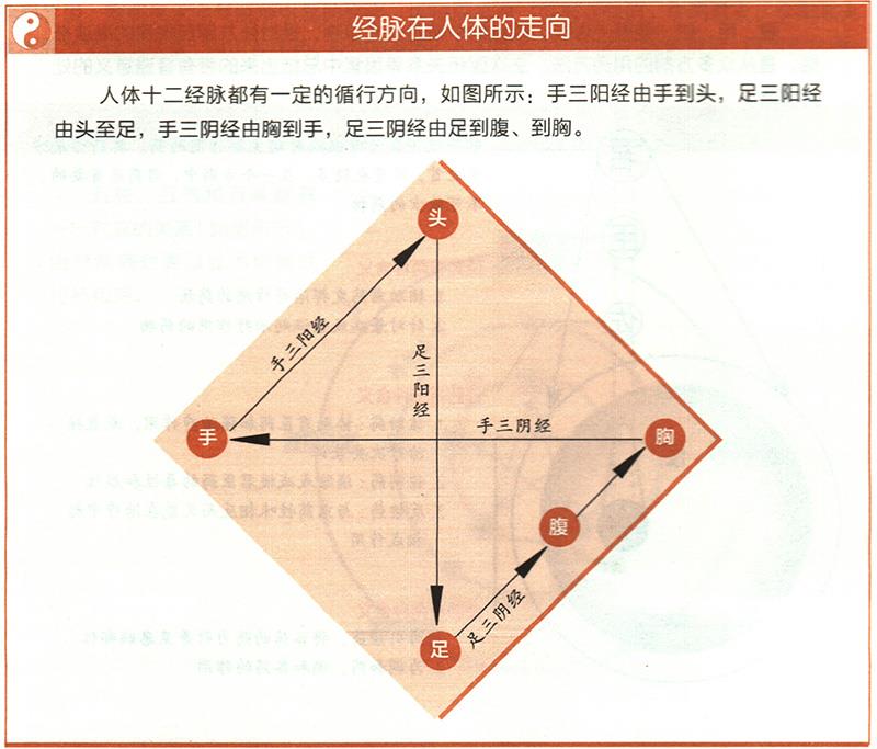 十二經(jīng)脈的起止點(diǎn)分別在哪里？
