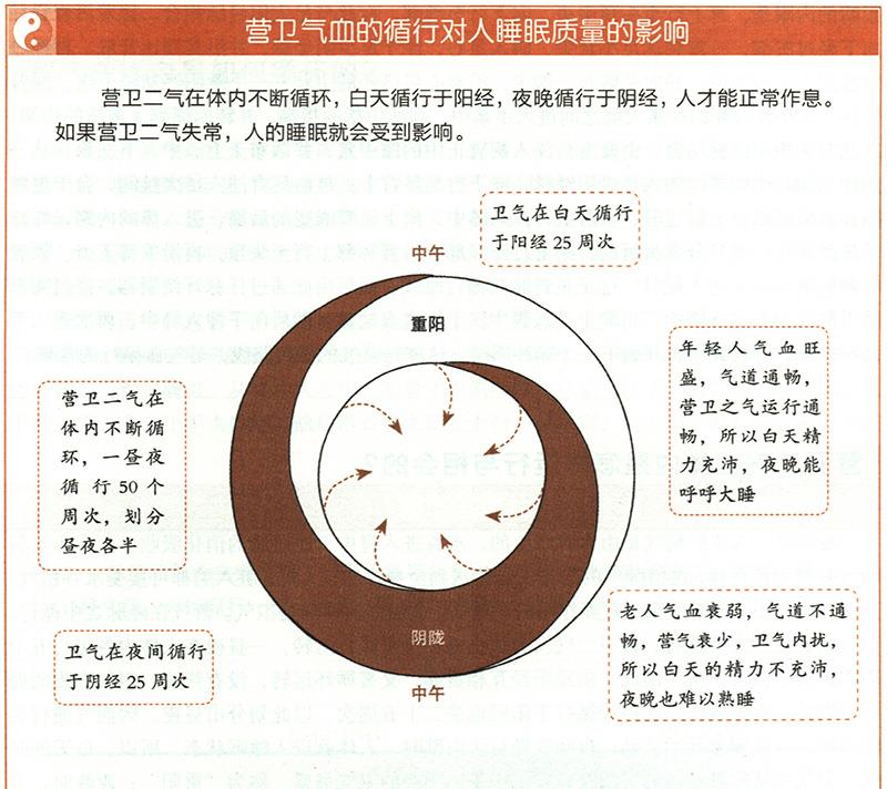 營衛(wèi)二氣在體內(nèi)是怎樣運行與相會的？
