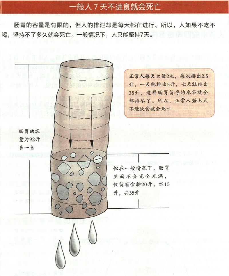 為什么7天不進(jìn)食就會(huì)死亡？