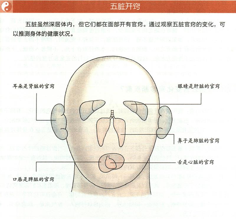 如何根據(jù)五官變化來診斷疾病？