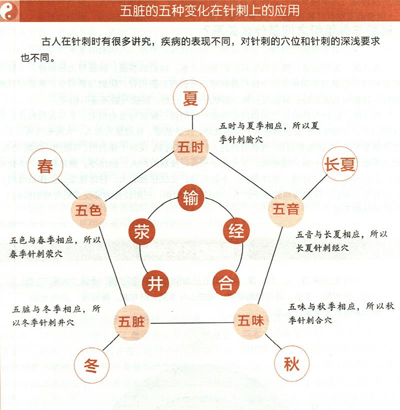 五臟的五種變化對應(yīng)的不同針刺法有哪些？