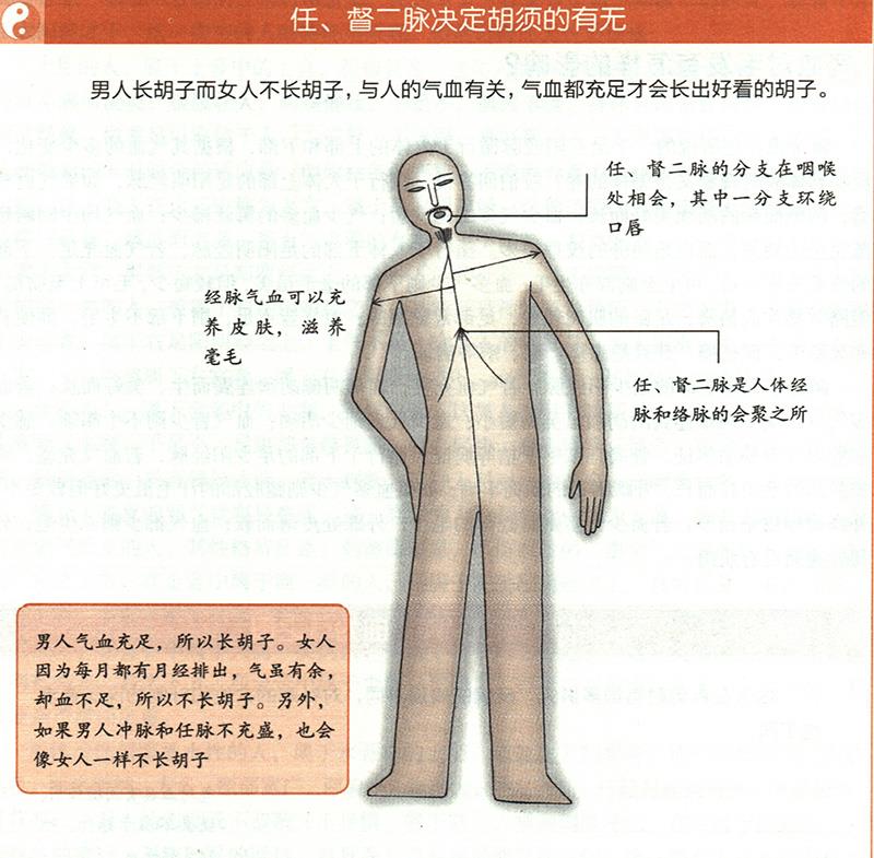 氣血對毛發(fā)有怎樣的影響？