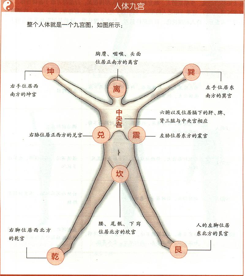 人體各部與九野是怎樣對應(yīng)的？