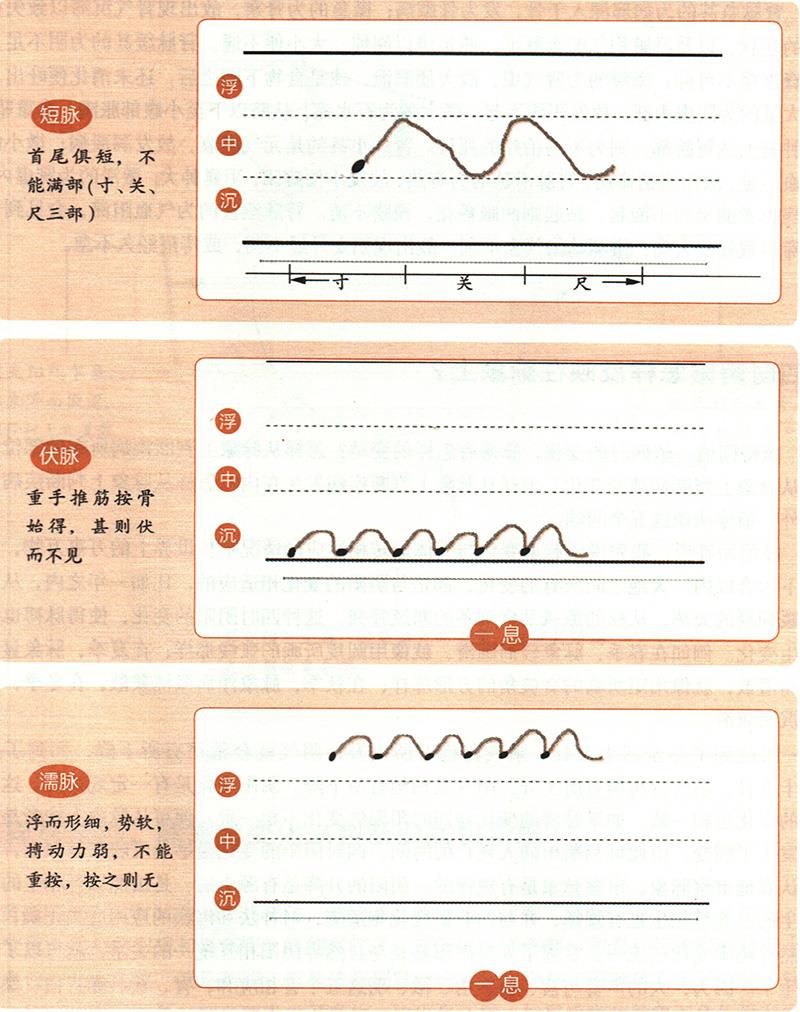 緩、急、小、大、滑、澀六種脈象所對應(yīng)的病狀情形是怎樣的？