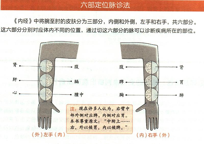 如何在尺膚上診斷疾??？